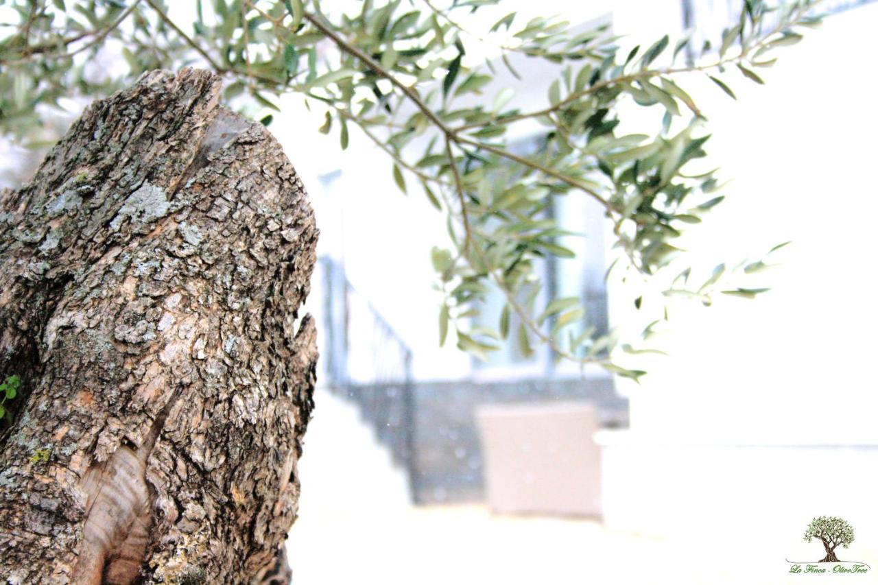La Finca Olivetree Katuni Eksteriør bilde